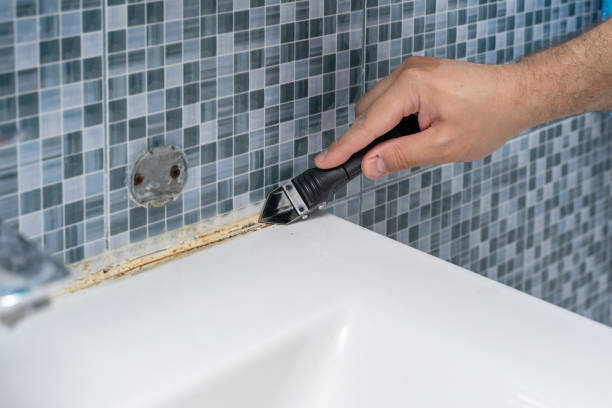 Best Black Mold Removal  in Ocean Shores, WA